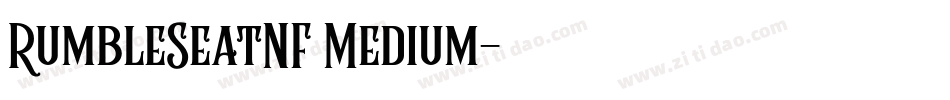 RumbleSeatNF Medium字体转换